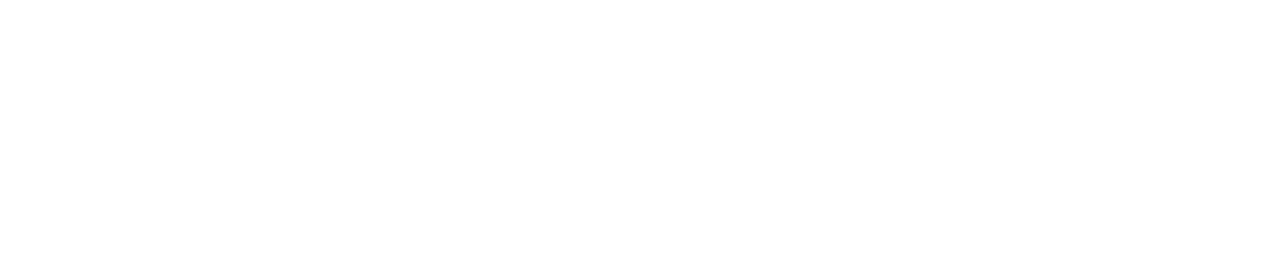 bonord logo
